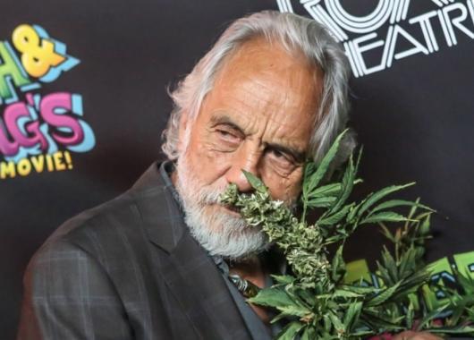 Happy Birthday !
Thomas B. Kin \"Tommy\" Chong born 5/24/38 It\s Always When you\re rolling like Tommy 
