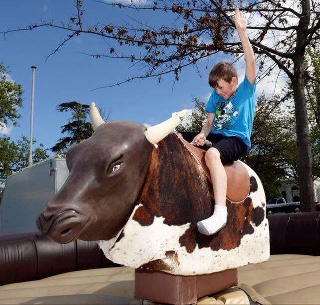 northvicbull tweet picture