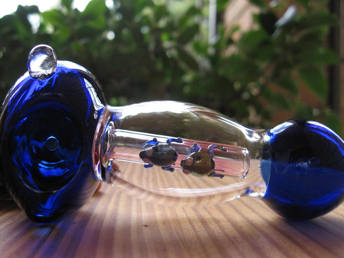 Trapped Frog Pipe!! 🐸😍