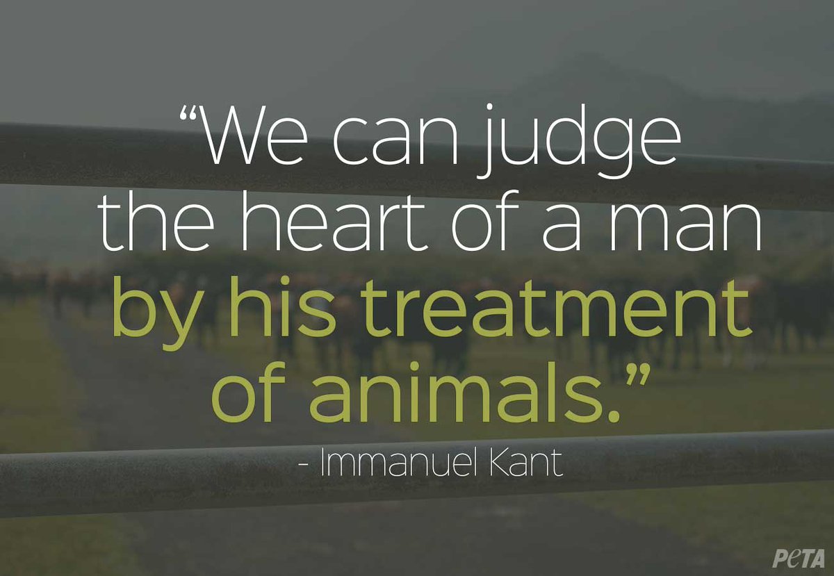 onetosix's tweet photo. TRUTH. http://t.co/wG7YDzXFK8 #quote via @peta
