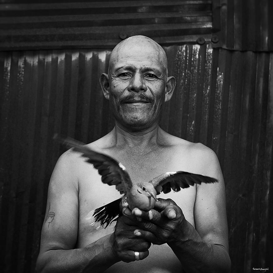 ferarmenghol's tweet photo. Las presencias dispuestas...#bwphoto #freedom #dove http://t.co/LMPbM2OMZ7