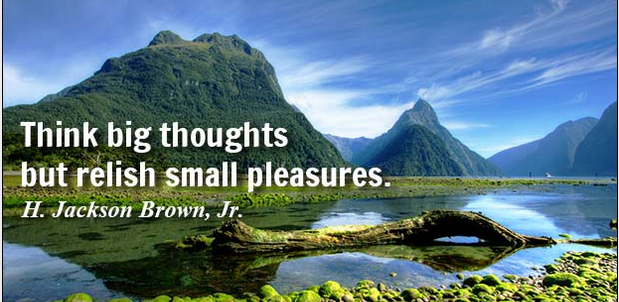 xixi_games's tweet photo. Quote of the Day: Think big thoughts but relish small pleasures. #Quoteoftheday #Thinkbig http://t.co/cfxziaiubC