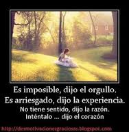Luna20Brenda's tweet photo. :-) http://t.co/3lM0HlM3YP