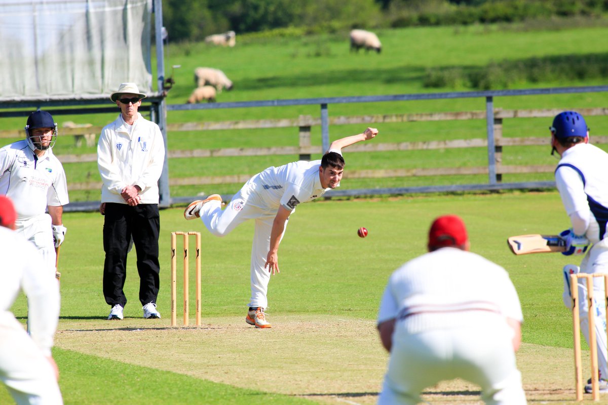 clicpics tweet media