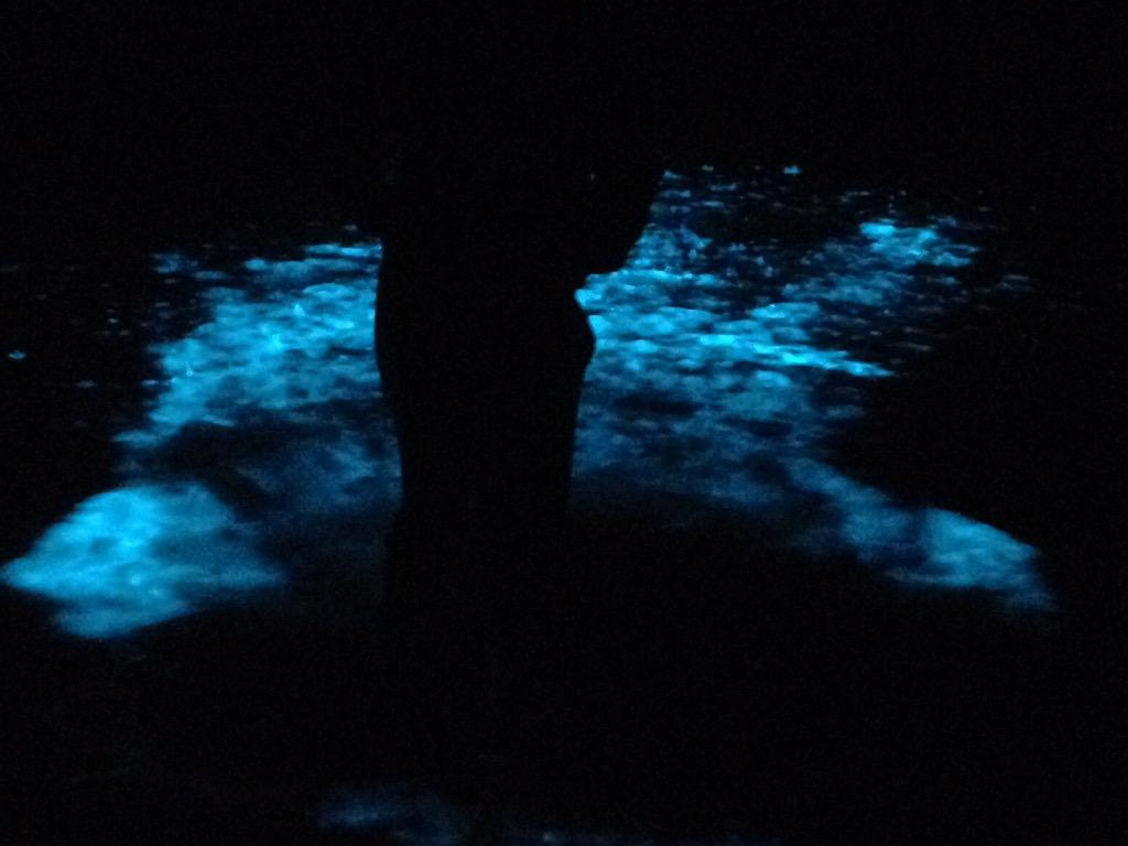 Bio-luminescence going wild at Lauderdale beach with <a href="/rachfisher71/">Rachel Fisher</a>
