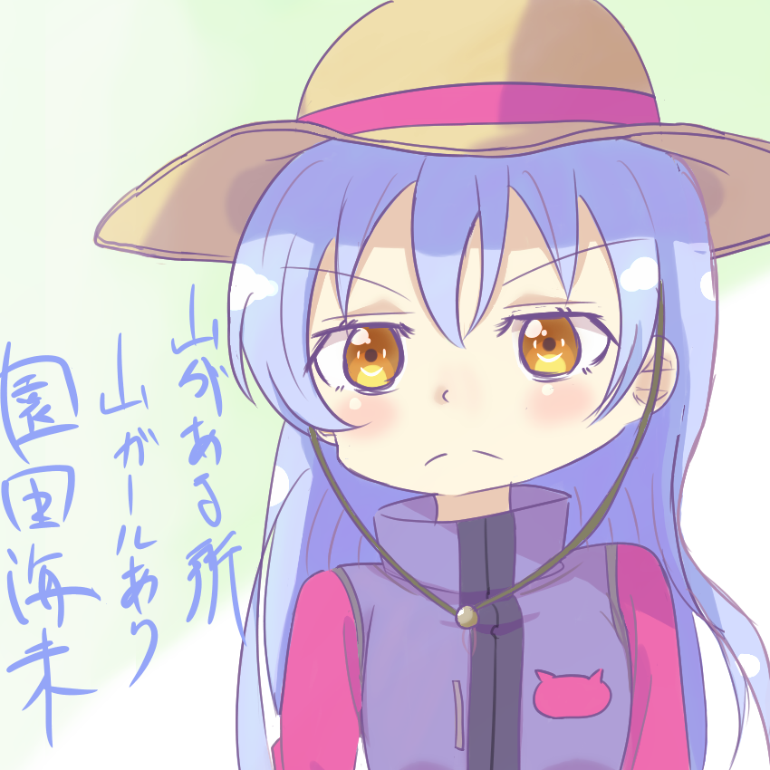 園田海未 「～最強のダジャレ～ 」|493Water絵のイラスト