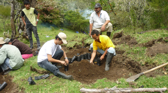 UN Development tweet media