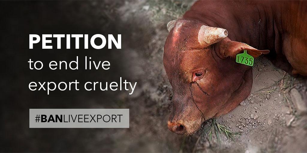 KT Merry tweet media