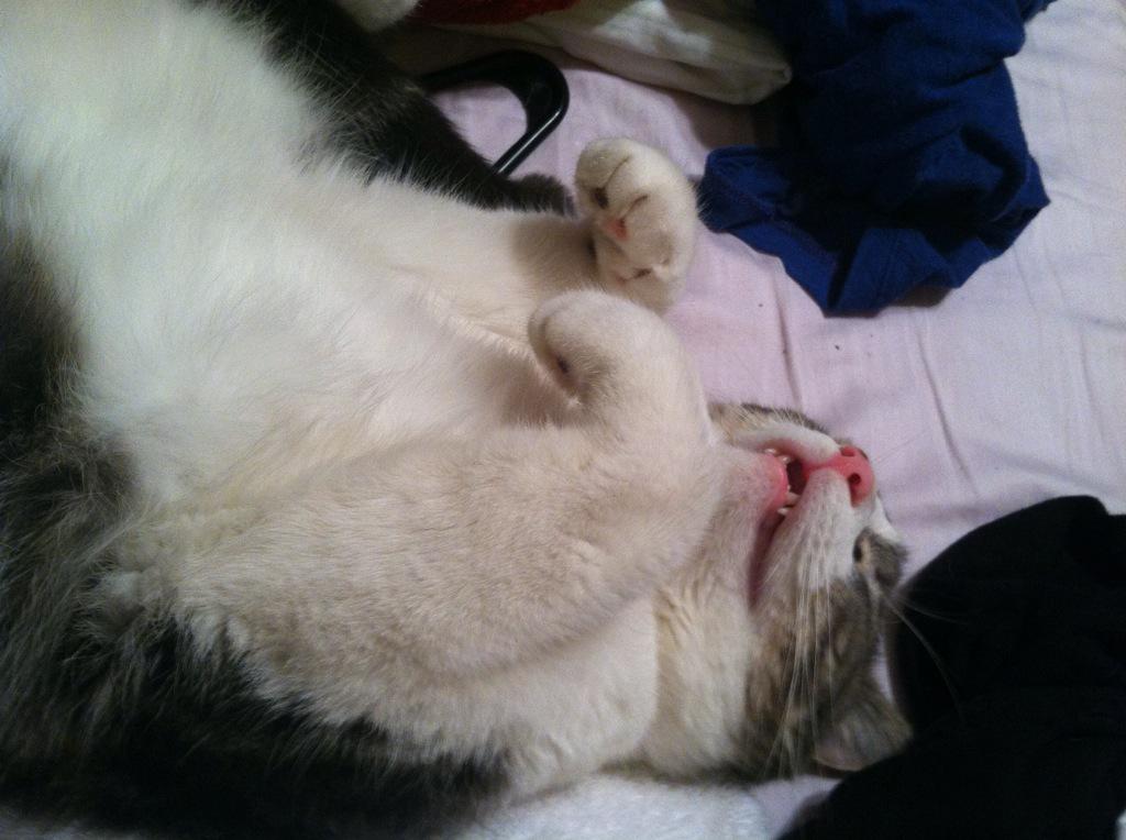 AshleySklar's tweet photo. http://t.co/neUkRR0lUs