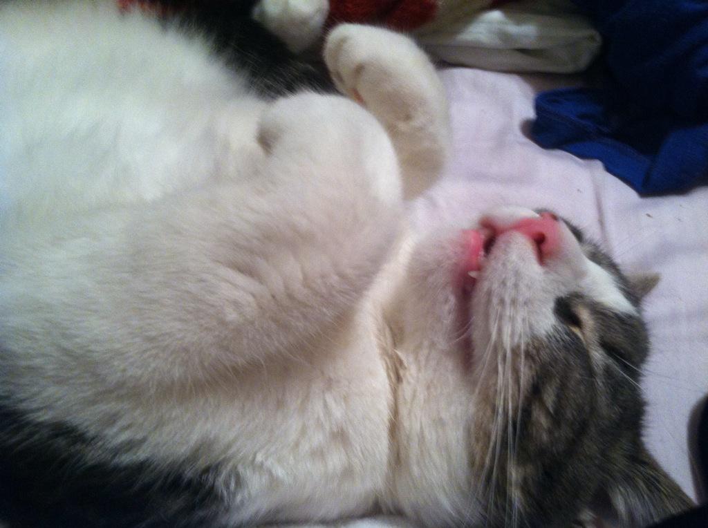 AshleySklar's tweet photo. http://t.co/neUkRR0lUs