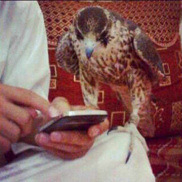dahsat781's tweet photo. يارب افرحني بما تحتاجه نفسي
        وأنت أعلم بما فيها . http://t.co/lUjdLPHH7K