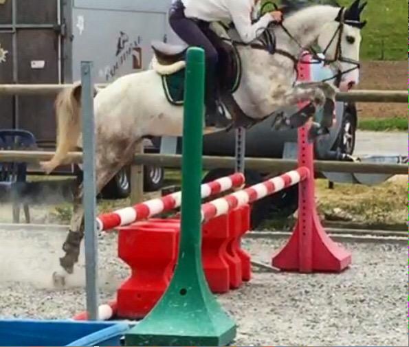 AxelRsss's tweet photo. Mon champion, le meilleur. #Rolexa💪🏻🐴 http://t.co/hQDNrNUKmw