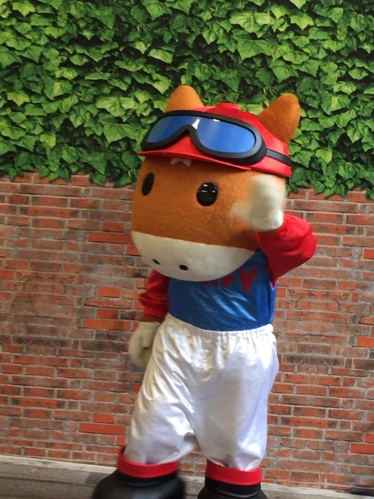 ターフィーが新宿に！ 本日は、17:30〜18:00と19:00〜19:30に新宿