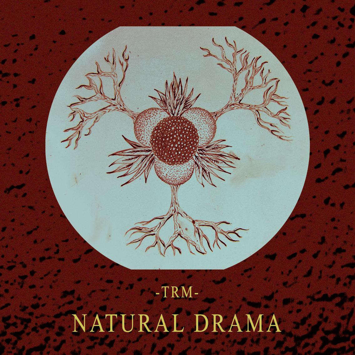TraumaZgz's tweet photo. En un par de dias podreis escuchar mi nuevo trabajo "Natural Drama", de momento os dejo por aqui la portada. http://t.co/WLkpeDWLCP
