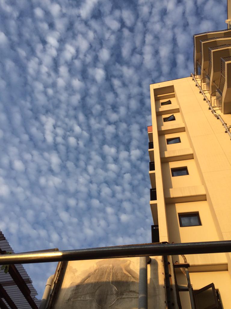wtbbl's tweet photo. 地震雲？ http://t.co/coCREmMvlC