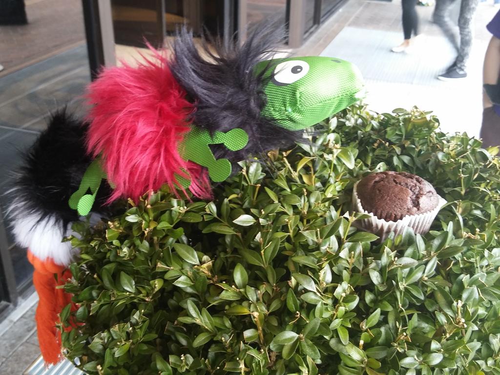 p_greywolf's tweet photo. The Bush muffin challenge #CFz2015 #furrylizard #furrypineapple http://t.co/X9O1Gt3ryG