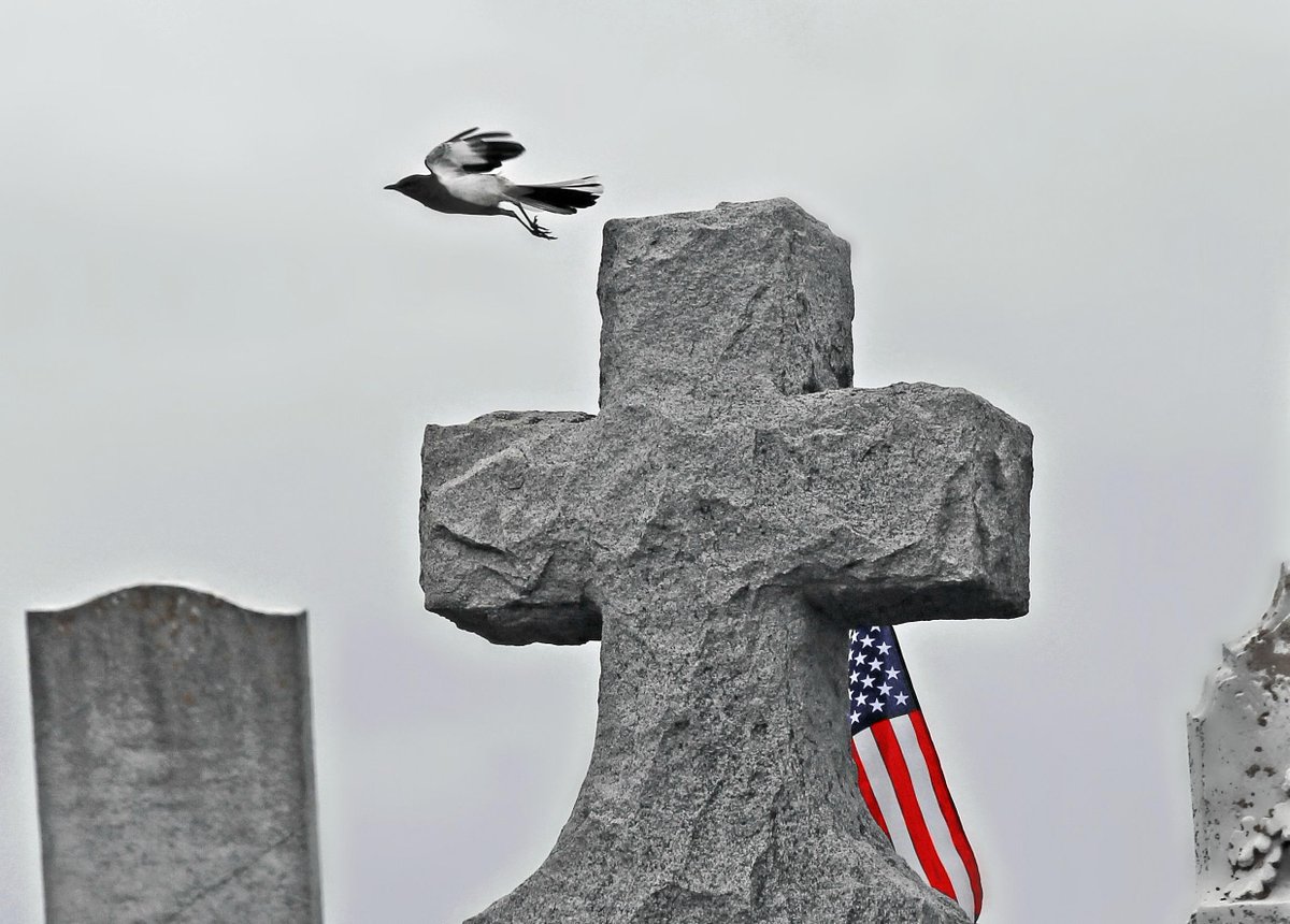 #MemorialDay #HonorOurFallen #America  #thankyou #veterans #sacrifice #freedom <a href="/memorialday_usa/">Memorial Day 2015</a> <a href="/connpost/">Connecticut Post</a>