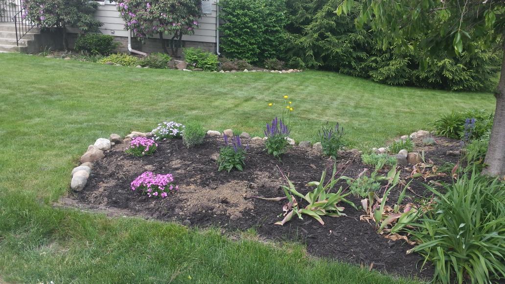 stephone_b's tweet photo. Planted flowers  with my wife this weekend  had a great time  #greatestfloristinthe world http://t.co/jEs78NzuNe