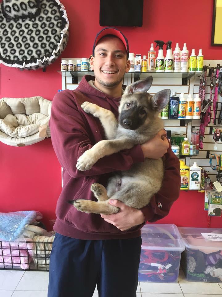 PetShoppe tweet media