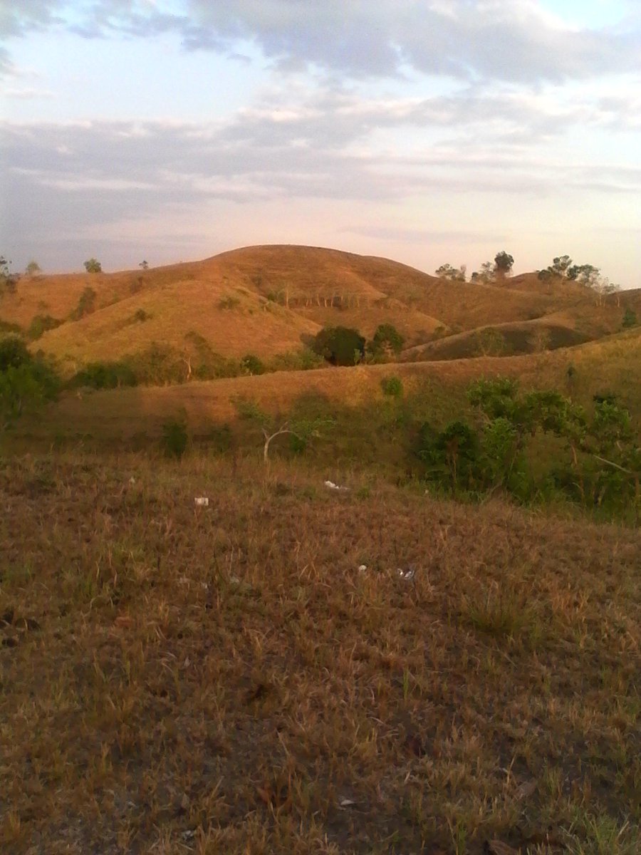 QuaizelShopa's tweet photo. Province is the best place to relax :) http://t.co/pVMQh6BCSg