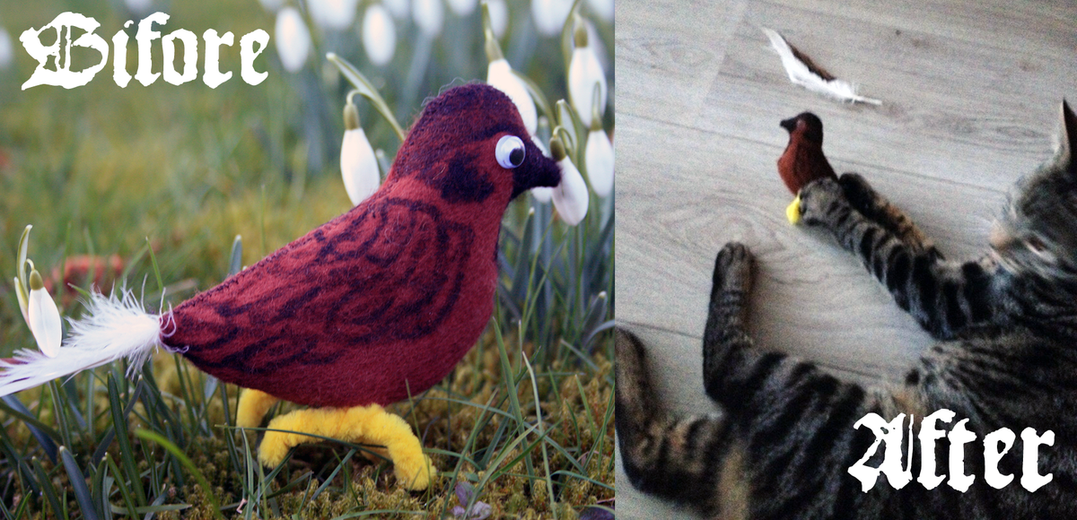 Embedded image permalink