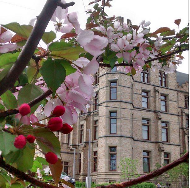 Museum of Nature, Ottawa
