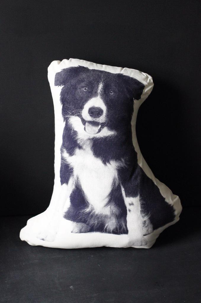 ShadowHalloran's tweet image. Miss me when I'm gone? Get the official Shadow pillow to cuddle anytime! Cuteness to scale. #SleepTight