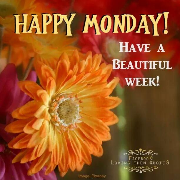 RosaTrunk's tweet photo. @RizzoGigirz58 @fryld @habebroh4 @AandO_Realtors @wpkofficial @MarieFrettoloso@mariachimario @GQ45 @AliciakGuast
2All http://t.co/uS35Vw0WVb