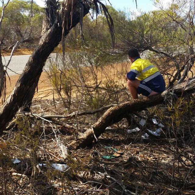 nckcmmns's tweet photo. Went to get the footy and accidentally sprung old mate dropping a Darren Britt... #cleansnap http://t.co/LKcSlRmma4