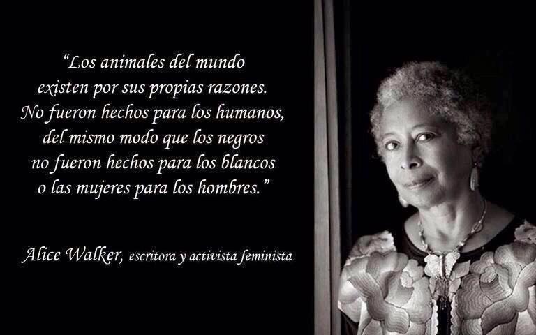 bebi_fernandez's tweet photo. ✊ http://t.co/4l1SM7sAba