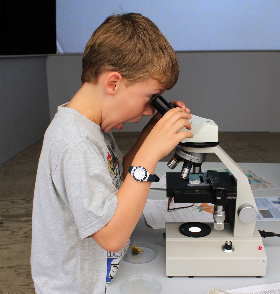eden_media_team's tweet photo. Some of the weird and wonderful activities at Strange Science this May half-term: http://t.co/dduIwGFuTK http://t.co/wwNDyZsYW3