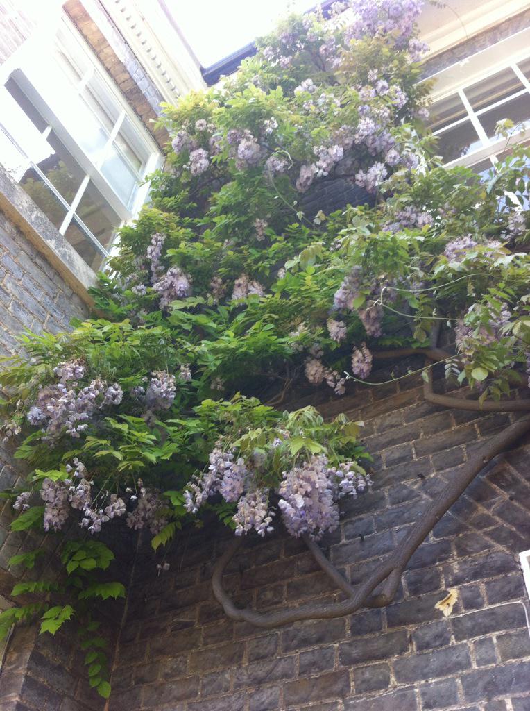 UCMShopCam's tweet photo. Best-looking shop in the world #fact http://t.co/vv8Lbb6xZU