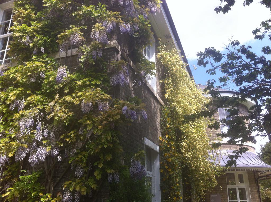 UCMShopCam's tweet photo. Best-looking shop in the world #fact http://t.co/vv8Lbb6xZU