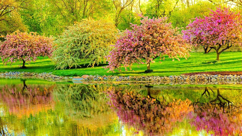 Pepifjm's tweet photo. @montmaty_ Preciosa foto. Feliz inicio de semana Maty : Un beso !! http://t.co/kte8qB79Ma