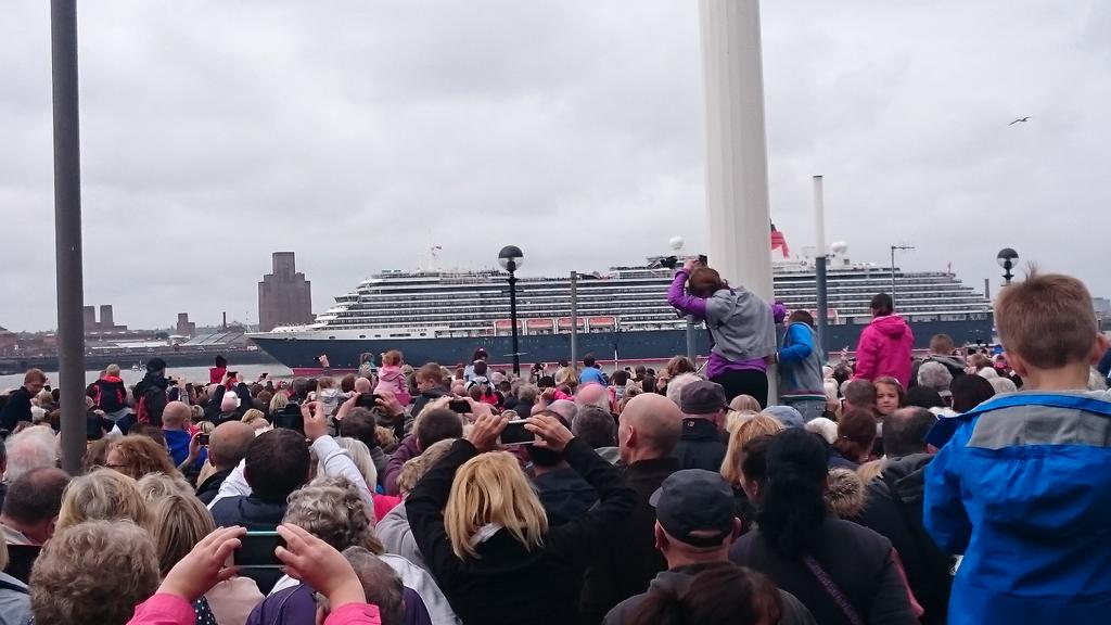 Seating in a tree trying to get some decent pics #3Queens