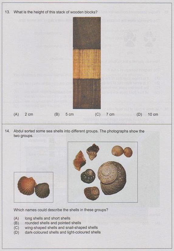 NaplanMentor's tweet photo. #ICAS Sample-1_#Paper A (Year 3) #Science (Questions 13-18)

Keep practicing. Answers will be posted soon

ICAS_UNSW http://t.co/3nzANC16xS