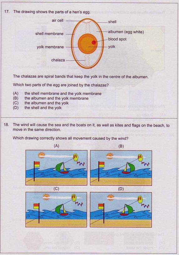 NaplanMentor's tweet photo. #ICAS Sample-1_#Paper A (Year 3) #Science (Questions 13-18)

Keep practicing. Answers will be posted soon

ICAS_UNSW http://t.co/3nzANC16xS