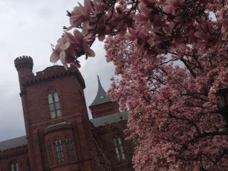 MuseumGrl12's tweet photo. FREE! Smithsonian Institution in Washington DC USA  founded with bequest by Englishman James Smithson 1846 #FLMuseums http://t.co/JAQ6peEaqv