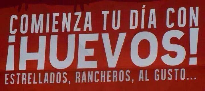 MonicaArriola's tweet photo. Muy buen día!! http://t.co/ECSty4xn5v