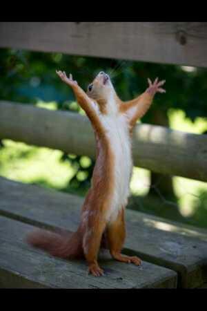 elchicodetwiter's tweet photo. YO CUANDO TERMINE LOS EXAMENES http://t.co/uNZKIlTvdy