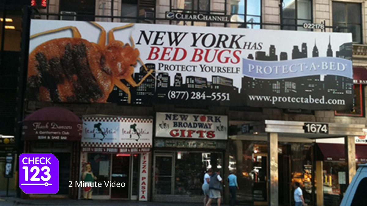 check123com's tweet photo. Don’t let the bed bugs bite!
http://t.co/Me9mX1SXJX
#bedbugsbites http://t.co/n2gBvazMv0