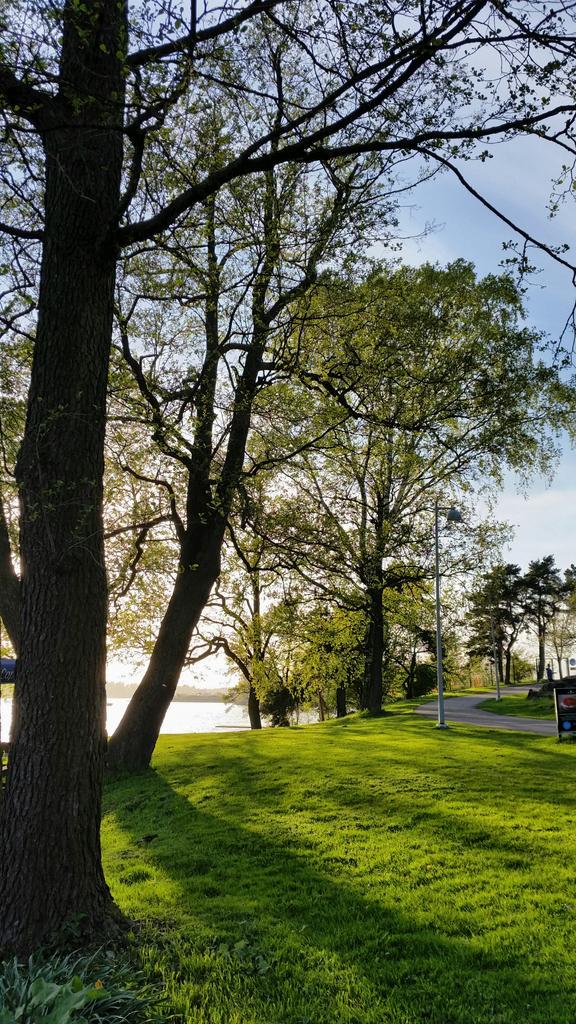 SatuCaldw's tweet image. #Helsinki #beautifulbutcold