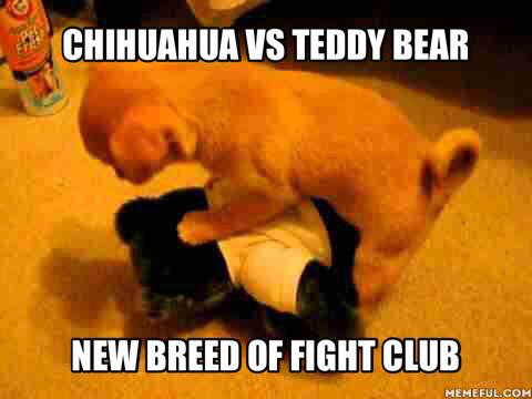 shadowworkinc's tweet image. #lol #fightclub
