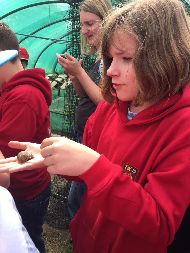 chateau2015's tweet photo. Lots of snail based purchases made at the snail farm today.Some food samples await the parents! http://t.co/bayvTVoXWv