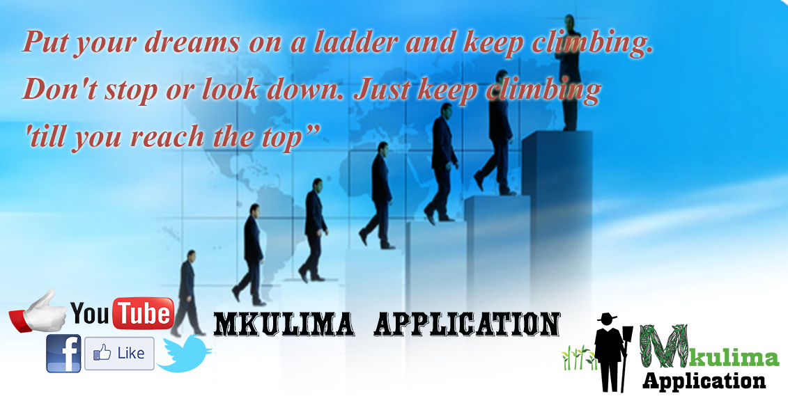mkulimaapp's tweet photo. @KenyaChallenge @k_arin Climbing all the way to the top at the strathmore waterloo incubation training http://t.co/PN9sefxnYY