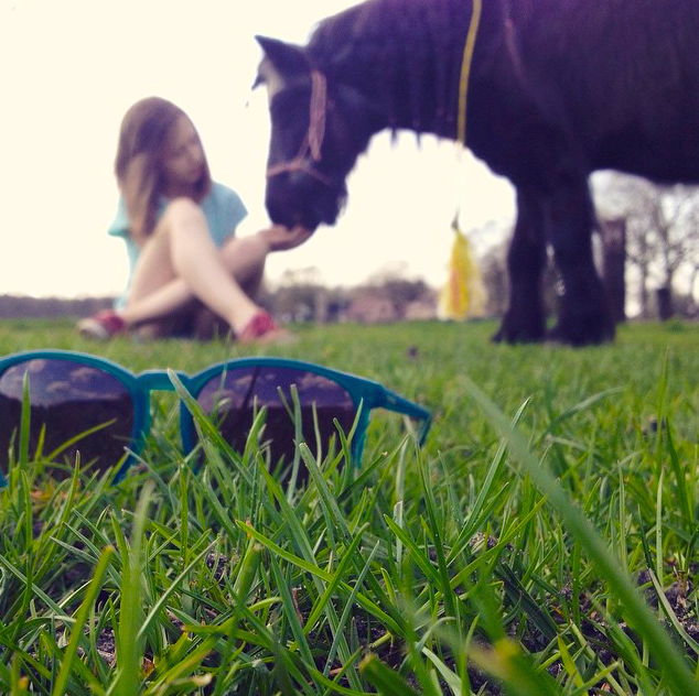 DolceHolistic's tweet photo. Learn your horses language in order to start building trust between you. http://t.co/weAhbSbt6u