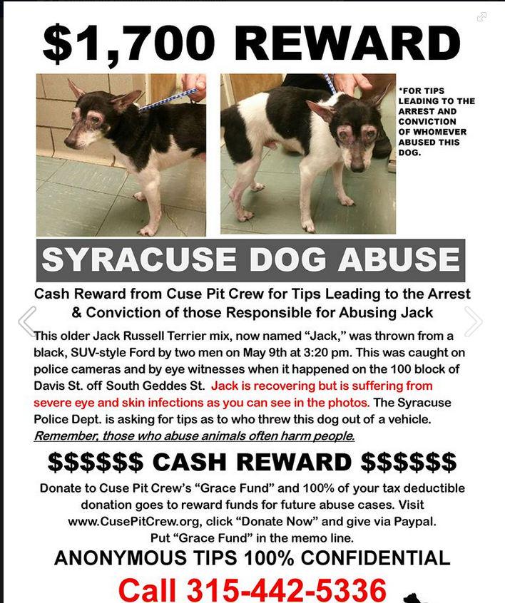 CNY Central (@cnycentral) on Twitter photo RT <a href="/lhandsyr/">Laura Hand</a>: Syracuse Police arrest 2, in dog thrown from car case from last Wednesday. More, CBS5 News at Noon RT <a href="/lhandsyr/">Laura Hand</a>: Syracuse Police arrest 2, in dog thrown from car case from last Wednesday. More, CBS5 News at Noon