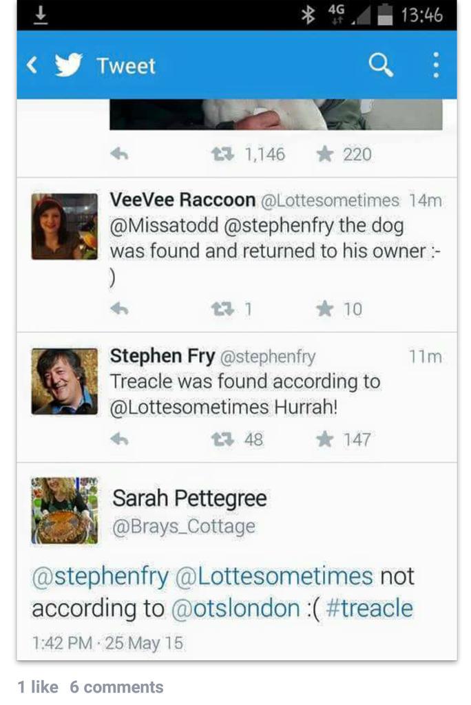 rockchick975's tweet photo. PLEASE READ This is currently circling around Twitter and it is untrue TREACLE IS STILL MISSING #treacle @FindTreacle http://t.co/m2VoBzVIXL