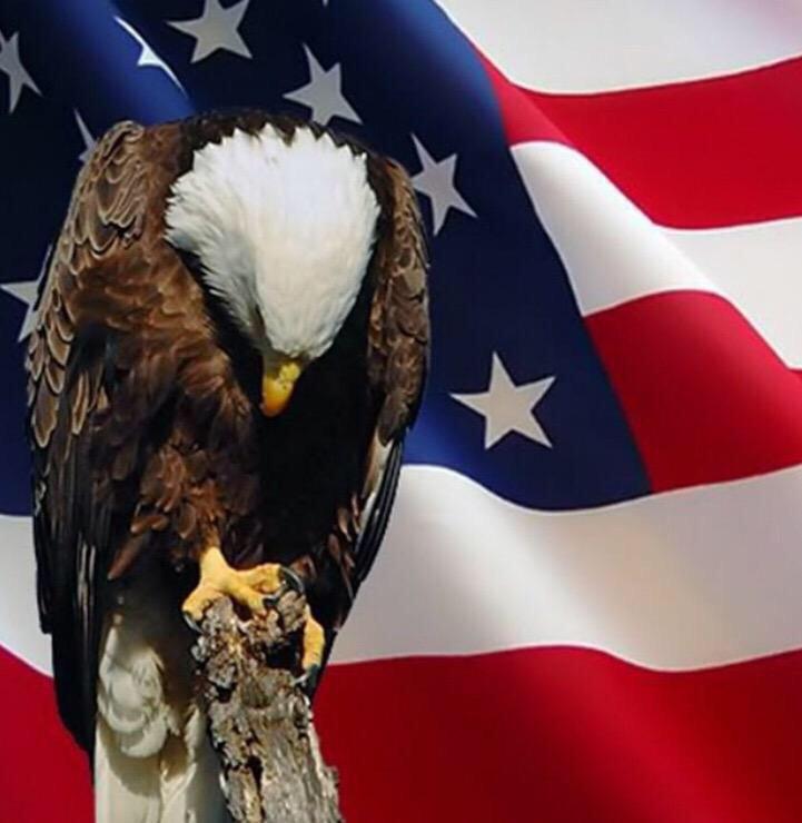 We salute everyone who has sacrificed their lives for our freedom. Thank you to the ones still serving today.