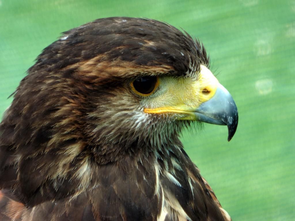 Bumped into these guys <a href="/TheGarlicFarm/">The Garlic Farm</a> earlier. I hear <a href="/achrisevans/">Chris Evans</a> is visiting soon! Cracking coffee and cake today!